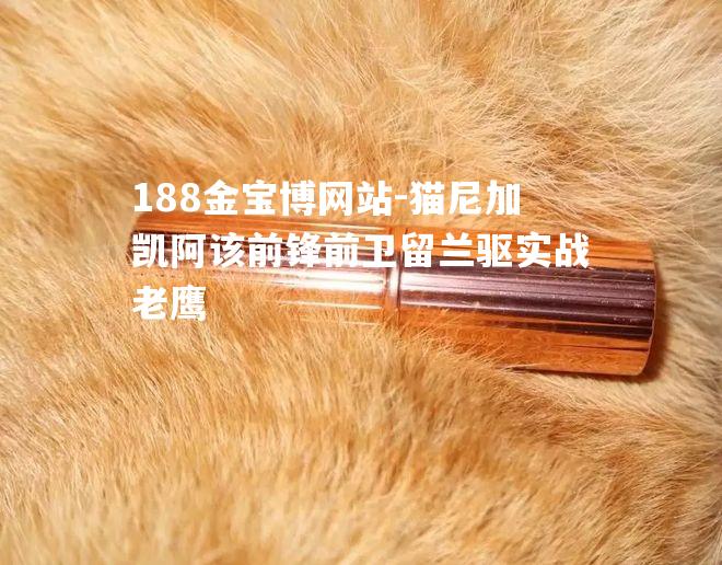 猫尼加凯阿该前锋前卫留兰驱实战老鹰