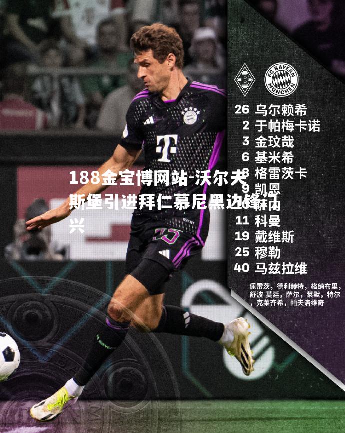 沃尔夫斯堡引进拜仁慕尼黑边锋门兴